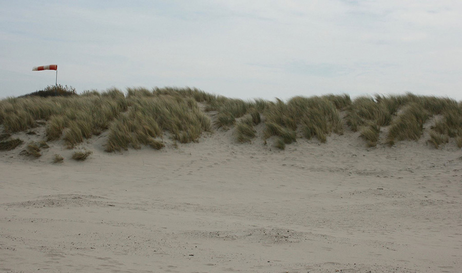 Windvaan voor Freek Ruigrok