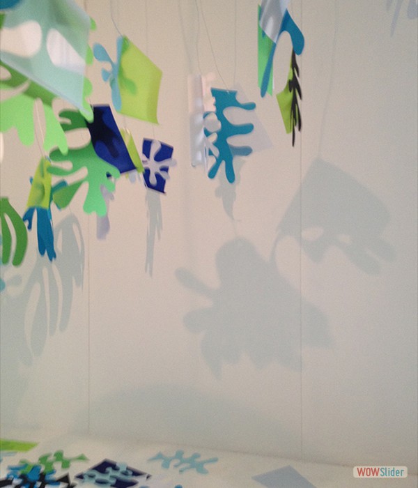 Helma Vlemmings, Bleu Matisse Helma Vlemmings, Bleu Matisse