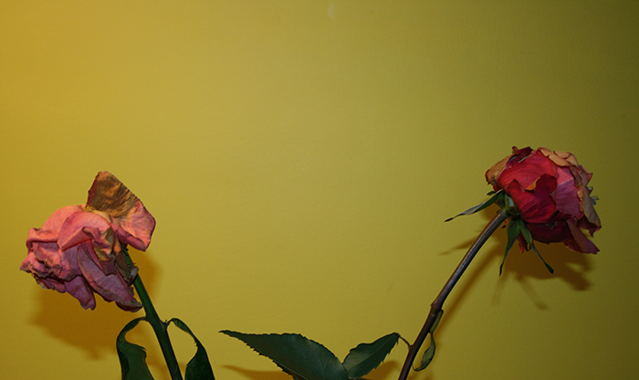 Verdrtietig groen - Helma Vlemmings